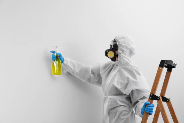 Best Forensic Mold Investigation  in Sunnyside, CA